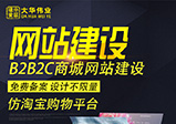 商城網(wǎng)站和展示型網(wǎng)站開(kāi)發(fā)有什么不同？
