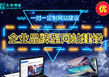 專業(yè)的網(wǎng)站建設公司怎么選？